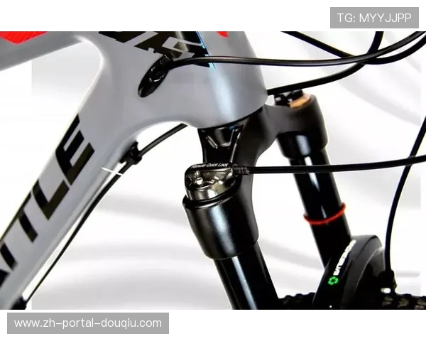 长三角自行车产业链报告发布,碳纤维车架产能占全球份额提升至35% 长三角自行车产业链报告发布,碳纤维车架产能占全球份额提升至35%